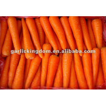 new harvested Chinese fresh vegetables baby carrots